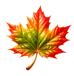 Feuille d'érable